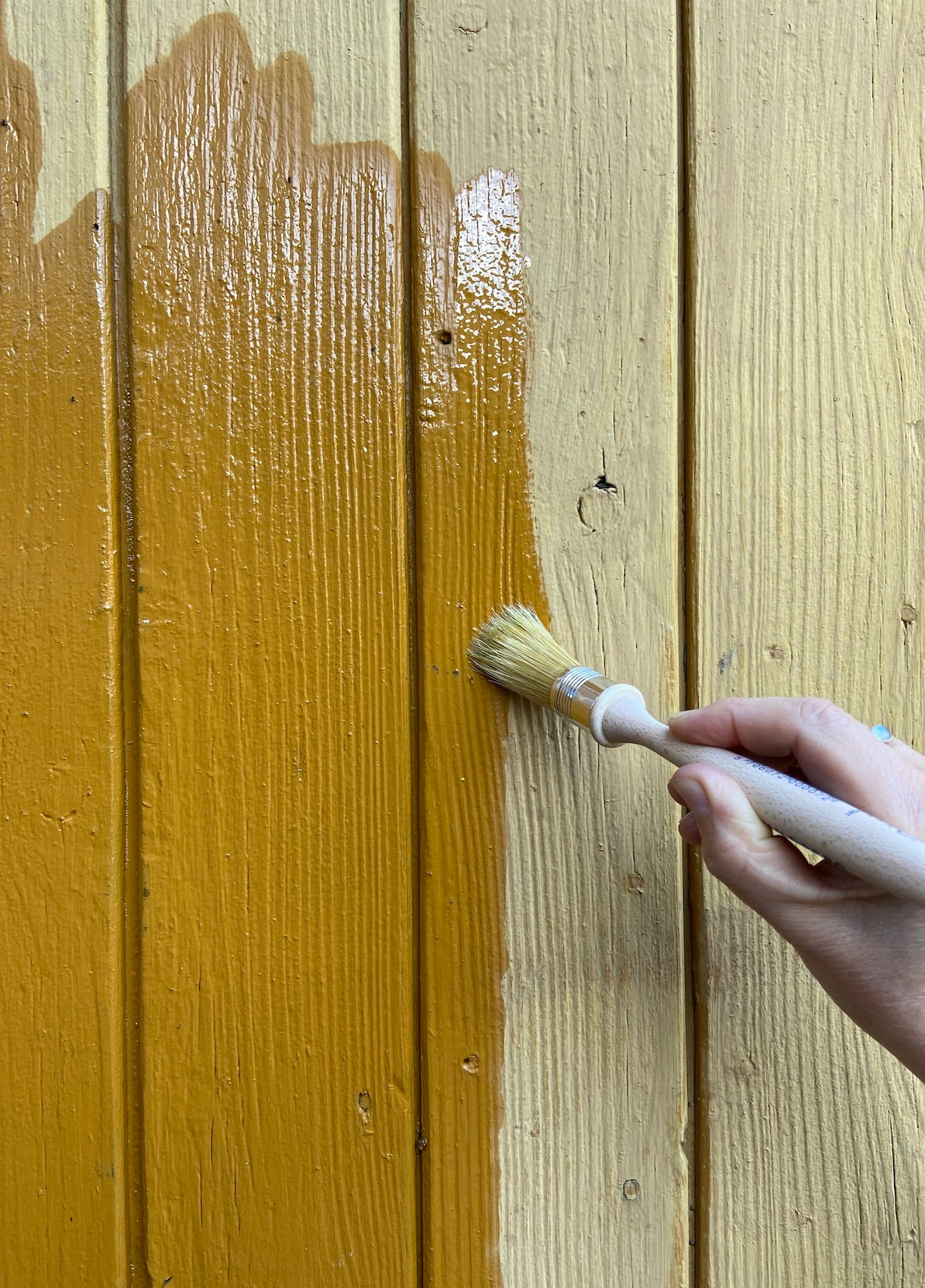 LEINÖLFARBE GOLDOCKER